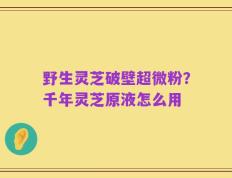 野生灵芝破壁超微粉？千年灵芝原液怎么用