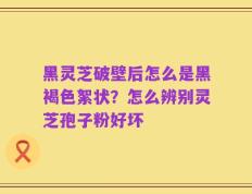 黑灵芝破壁后怎么是黑褐色絮状？怎么辨别灵芝孢子粉好坏