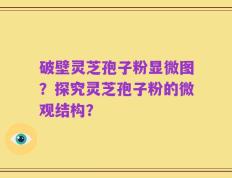 破壁灵芝孢子粉显微图？探究灵芝孢子粉的微观结构？