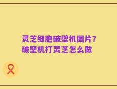 灵芝细胞破壁机图片？破壁机打灵芝怎么做