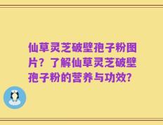 仙草灵芝破壁孢子粉图片？了解仙草灵芝破壁孢子粉的营养与功效？