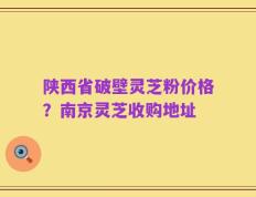 陕西省破壁灵芝粉价格？南京灵芝收购地址