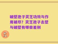 破壁孢子灵芝功效与作用破尽？灵芝孢子去壁与破壁有哪些差别
