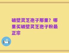破壁灵芝孢子那里？哪里买破壁灵芝孢子粉最正宗