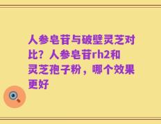 人参皂苷与破壁灵芝对比？人参皂苷rh2和灵芝孢子粉，哪个效果更好