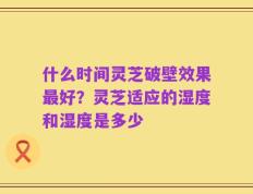 什么时间灵芝破壁效果最好？灵芝适应的湿度和湿度是多少