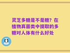 灵芝多糖是不是糖？在植物真菌类中提取的多糖对人体有什么好处