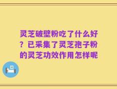灵芝破壁粉吃了什么好？已采集了灵芝孢子粉的灵芝功效作用怎样呢