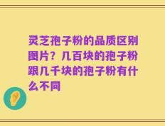 灵芝孢子粉的品质区别图片？几百块的孢子粉跟几千块的孢子粉有什么不同