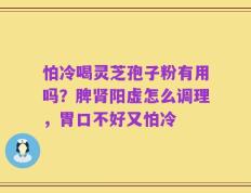 怕冷喝灵芝孢子粉有用吗？脾肾阳虚怎么调理，胃口不好又怕冷