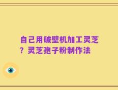 自己用破壁机加工灵芝？灵芝孢子粉制作法