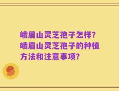 峨眉山灵芝孢子怎样？峨眉山灵芝孢子的种植方法和注意事项？