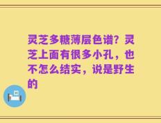 灵芝多糖薄层色谱？灵芝上面有很多小孔，也不怎么结实，说是野生的