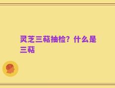 灵芝三萜抽检？什么是三萜