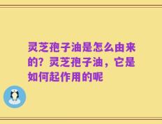灵芝孢子油是怎么由来的？灵芝孢子油，它是如何起作用的呢