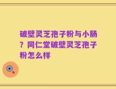 破壁灵芝孢子粉与小肠？同仁堂破壁灵芝孢子粉怎么样
