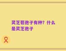 灵芝苞孢子有种？什么是灵芝孢子