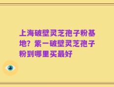 上海破壁灵芝孢子粉基地？紫一破壁灵芝孢子粉到哪里买最好