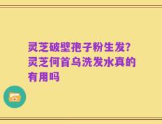 灵芝破壁孢子粉生发？灵芝何首乌洗发水真的有用吗