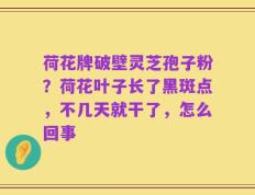荷花牌破壁灵芝孢子粉？荷花叶子长了黑斑点，不几天就干了，怎么回事