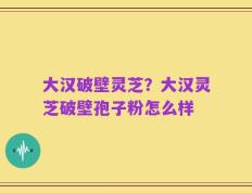 大汉破壁灵芝？大汉灵芝破壁孢子粉怎么样