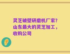 灵芝破壁研磨机厂家？山东最大的灵芝加工，收购公司