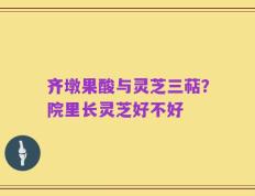 齐墩果酸与灵芝三萜？院里长灵芝好不好