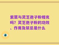 紫菜与灵芝孢子粉相克吗？灵芝孢子粉的功效、作用及禁忌是什么