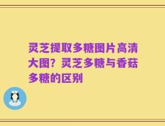 灵芝提取多糖图片高清大图？灵芝多糖与香菇多糖的区别