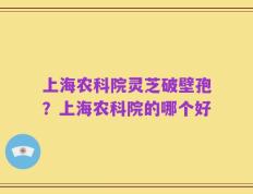 上海农科院灵芝破壁孢？上海农科院的哪个好