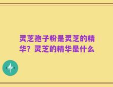 灵芝孢子粉是灵芝的精华？灵芝的精华是什么