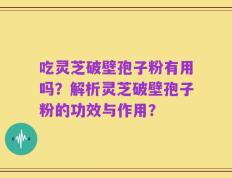 吃灵芝破壁孢子粉有用吗？解析灵芝破壁孢子粉的功效与作用？