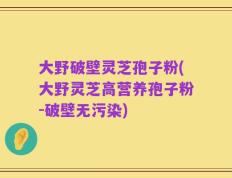 大野破壁灵芝孢子粉(大野灵芝高营养孢子粉-破壁无污染)