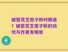 破壁灵芝抱子粉对肠道？破壁灵芝孢子粉的功效与作用有哪些