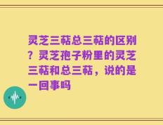 灵芝三萜总三萜的区别？灵芝孢子粉里的灵芝三萜和总三萜，说的是一回事吗