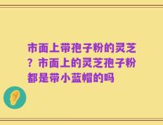 市面上带孢子粉的灵芝？市面上的灵芝孢子粉都是带小蓝帽的吗