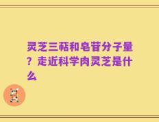 灵芝三萜和皂苷分子量？走近科学肉灵芝是什么