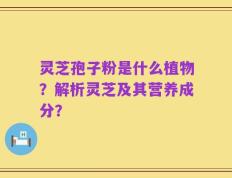灵芝孢子粉是什么植物？解析灵芝及其营养成分？