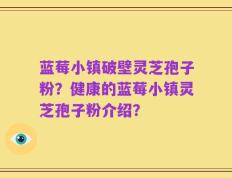蓝莓小镇破壁灵芝孢子粉？健康的蓝莓小镇灵芝孢子粉介绍？