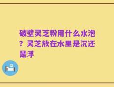 破壁灵芝粉用什么水泡？灵芝放在水里是沉还是浮