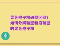灵芝孢子粉破壁区别？如何分辨破壁和没破壁的灵芝孢子粉