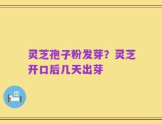 灵芝孢子粉发芽？灵芝开口后几天出芽