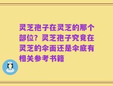 灵芝孢子在灵芝的那个部位？灵芝孢子究竟在灵芝的伞面还是伞底有相关参考书籍