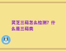 灵芝三萜怎么检测？什么是三萜类