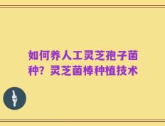 如何养人工灵芝孢子菌种？灵芝菌棒种植技术