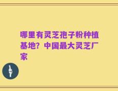 哪里有灵芝孢子粉种植基地？中国最大灵芝厂家