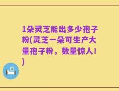 1朵灵芝能出多少孢子粉(灵芝一朵可生产大量孢子粉，数量惊人！)