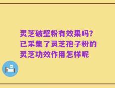 灵芝破壁粉有效果吗？已采集了灵芝孢子粉的灵芝功效作用怎样呢