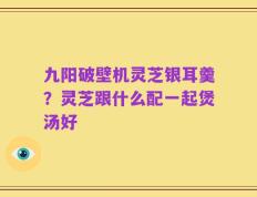 九阳破壁机灵芝银耳羹？灵芝跟什么配一起煲汤好