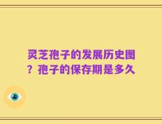 灵芝孢子的发展历史图？孢子的保存期是多久